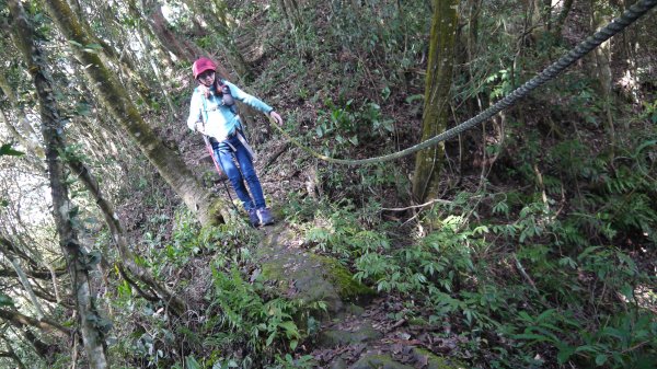 出關古道登山健行趣(步道)1579377