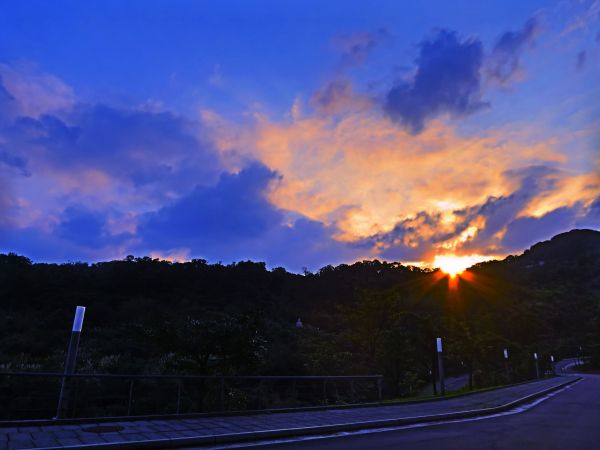 金山法鼓山園區步道100441