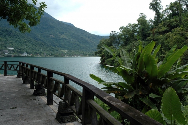 【走在台灣的脊樑上】池南、鯉魚山森林步道