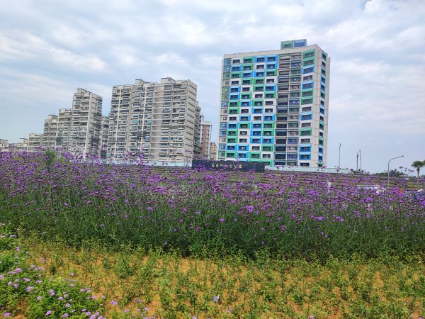 2024年臺北大縱走第八段：捷運動物園站至捷運關渡站2471078