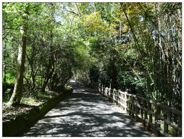 沙蓮山西南峰、砂連山連走(台中/和平)1664166