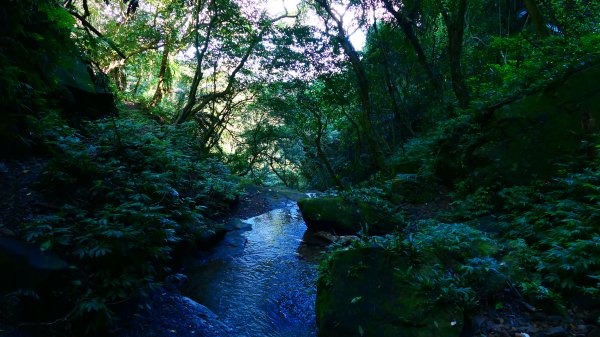 大尖山瀑布2932164