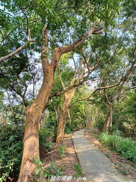 【彰化員林】綠樹林間散散步。 臥龍坡步道1691275