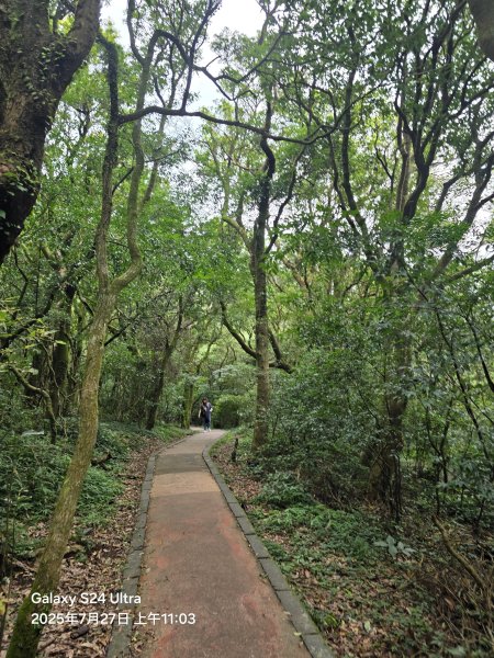 2025-07-27臺北大縱走第一段：關渡至二子坪2847205