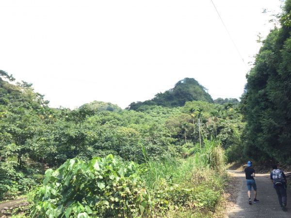 九九峰森林步道封面