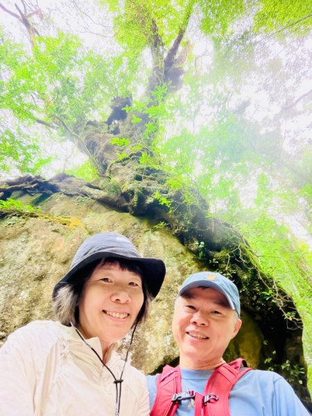 1150730嘉義大凍山之旅3092611