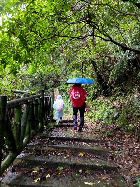 🌈貂山古道-黃金地質公園-黃金神社🌈2601284