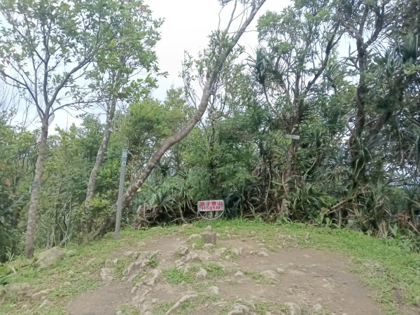 基隆市荖寮坑古道+十分古道(暖東舊道)+頂子寮山(嶺頭土地公)P字走2821566