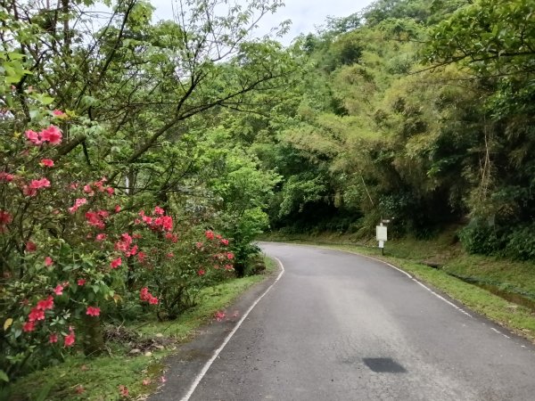平溪區淡蘭山徑-平湖西步道+內平林山+東步道O型2769908