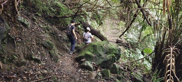 2025/07/27_梅后蔓瀑布+梅后蔓步道2846737