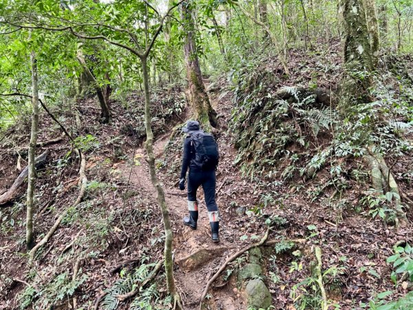 奮鬥在北插天山的路上2415271