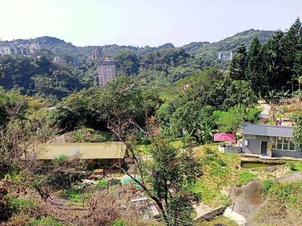 象獅豹虎-四獸山探秘之象山秘境（2-1 捷運象山站→無極瑤池宮）2065534