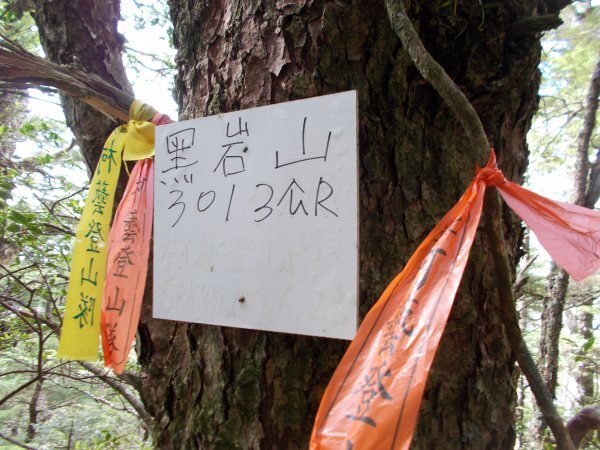 加卑里山縱走黑岩山出觀雲山莊1449973