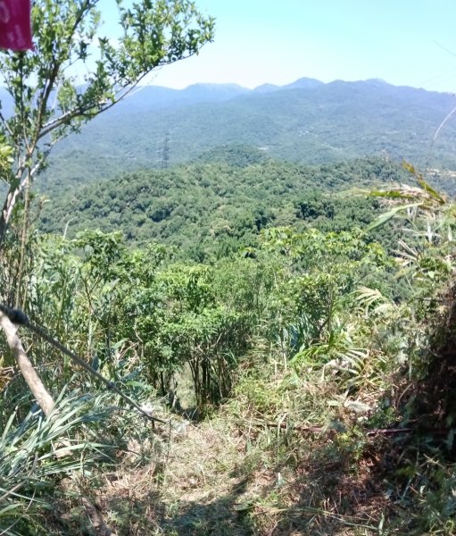 貢寮區慈南寺-九份坑山-文秀坑產道去回3064798