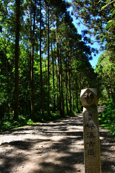 坪溪古道-美得讓人無法形容1806897