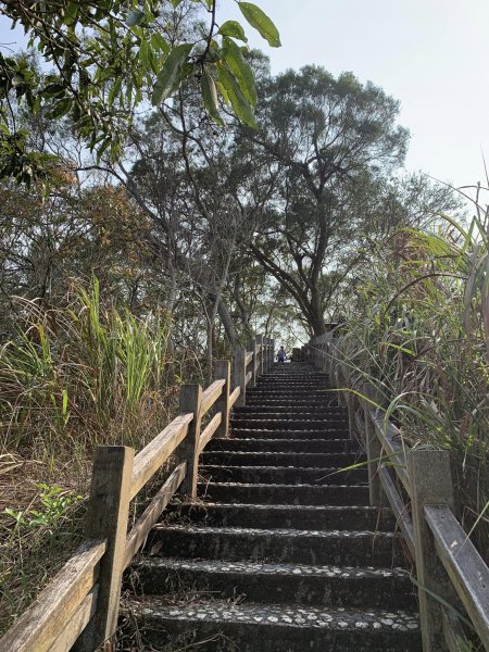 台中潭子區大胡山與聚興山隨意走（小百岳）2116656