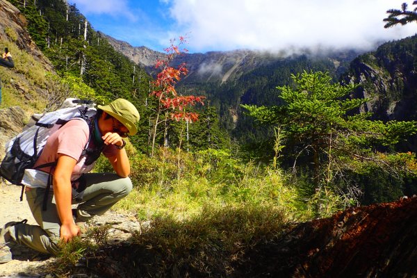 登峰造極--2018玉山主峰532499