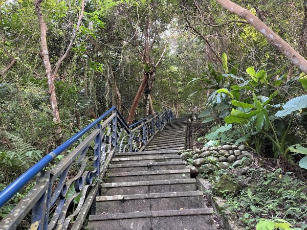 [微笑山線_第六段] 2025_0807 二格山系_和美山螢火蟲段2854607