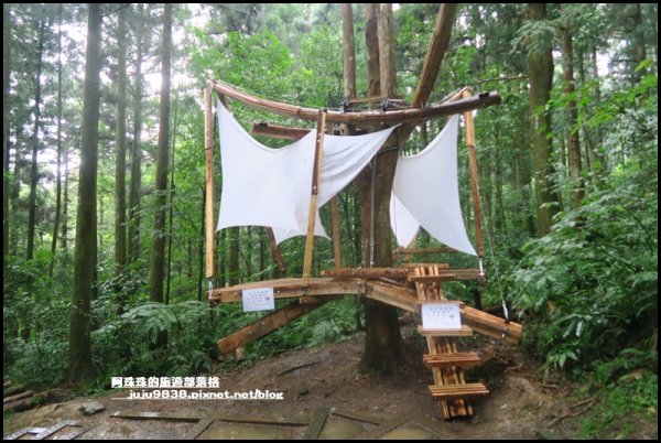 東眼山打卡新亮點森林裡的木構裝置藝術1021787