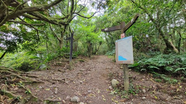 新北宜蘭-淡蘭中路（闊瀨-外澳）2176153