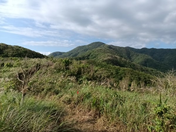 貢寮區龍洞稜(和美山)+北勢山稜線O型2958431