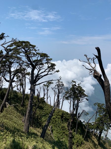 【百岳】五岳之北大武山單攻903187