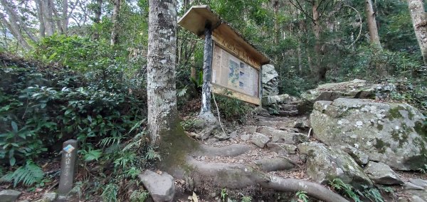 谷關七雄老大-八仙山 聖誕節大台中APP完登谷關七雄第二輪1972061