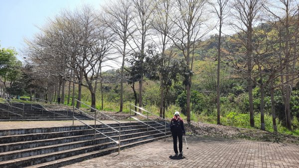《彰化》登山逛市集｜臥龍坡步道環藤山步道202503222740490