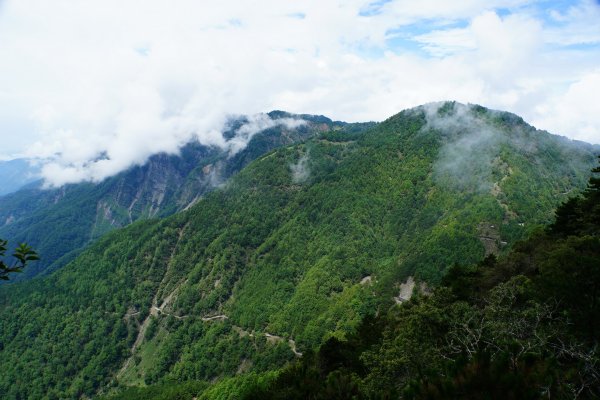 臺灣 嘉義 玉山3110176