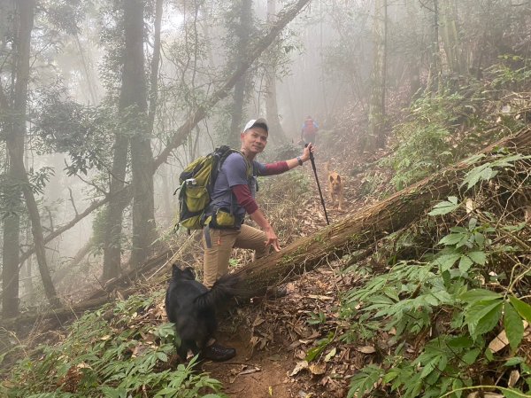 馬那邦山.細道邦山【你 不能預判山的變幻莫測】2401510