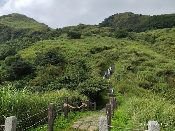 【臺北大縱走 2、3、4】冷水坑→七星山主東峰步道→冷擎步道→小油坑→鵝尾山→內湖許願步道2878889