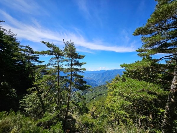 20240714🌞嘉明湖國家步道-向陽山⛰️2551346