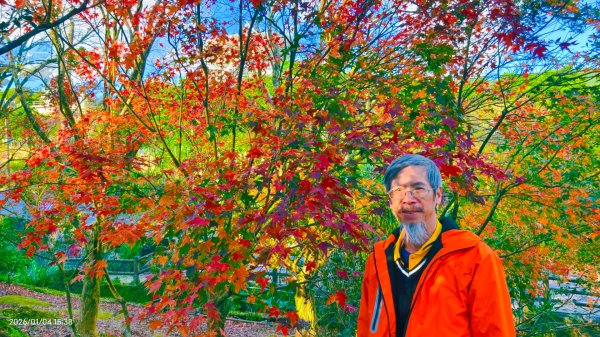 #花卉試驗中心 #永公路500巷 #平菁街42巷 #原住民公園 #士林官邸 1/42976619