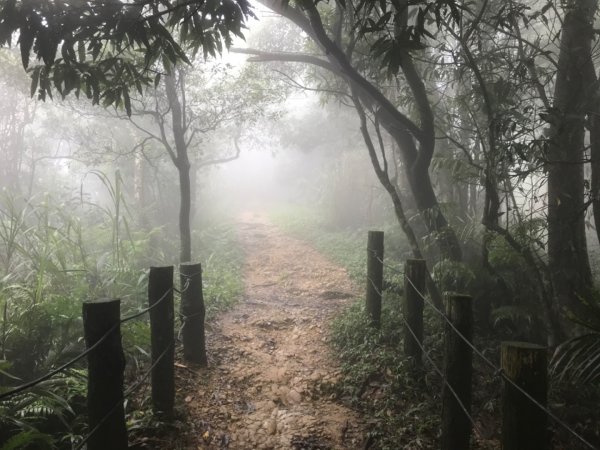 大凍山、雞籠山環行1076517