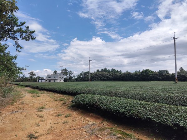 石光古道2848866