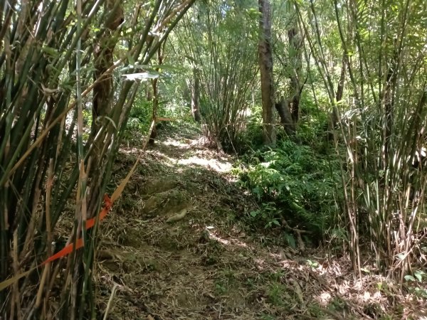 基隆市外西勢坑山+暖暖砲台+福基煤礦遺址O型2907989