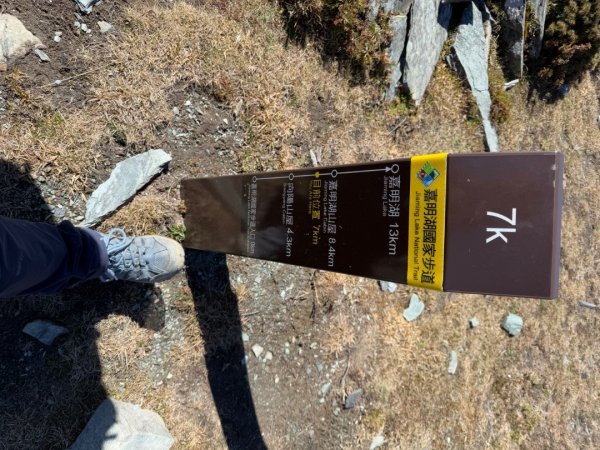 20250104-05 向陽縱走魔保來溪頭山出關山嶺山2683513