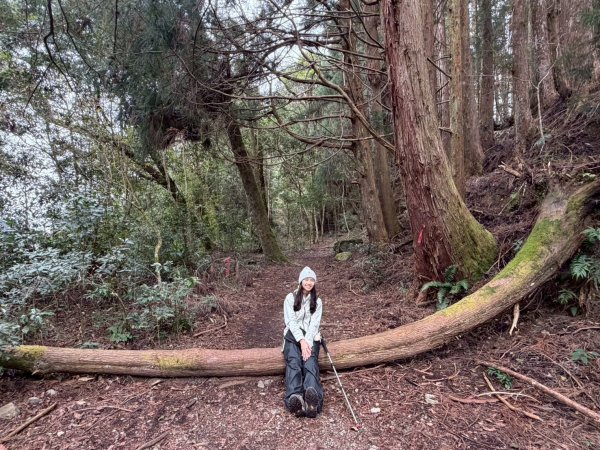 2026/02/08馬崙山3008154