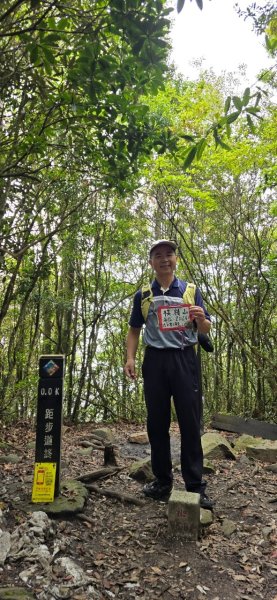 橫嶺山步道_202406272569649