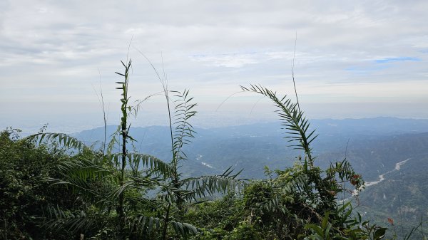 【山形暗影綽綽，我們步履不停，只為那枚海拔千尺下的獨特三角點。】小百岳#044暗影山2943620