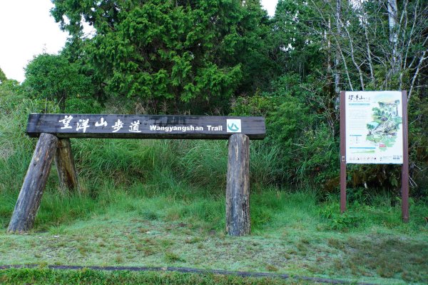 宜蘭 大同 望洋山、翠峰湖步道、山毛櫸步道2880714