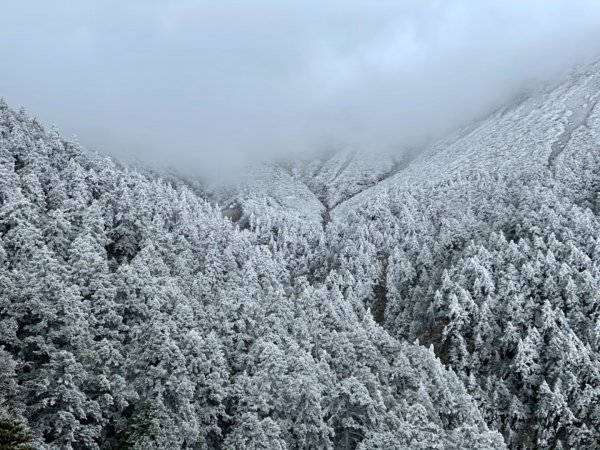 絕美銀白世界 玉山降下今年冬天「初雪」1235965