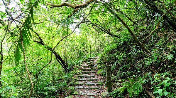 暖東峽谷大環小環2834407