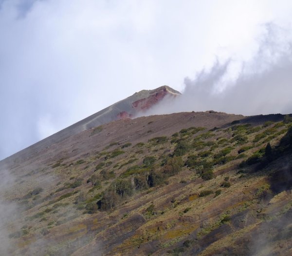 林賈尼火山之旅2531442