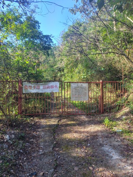 多納六秀 京大山2957581