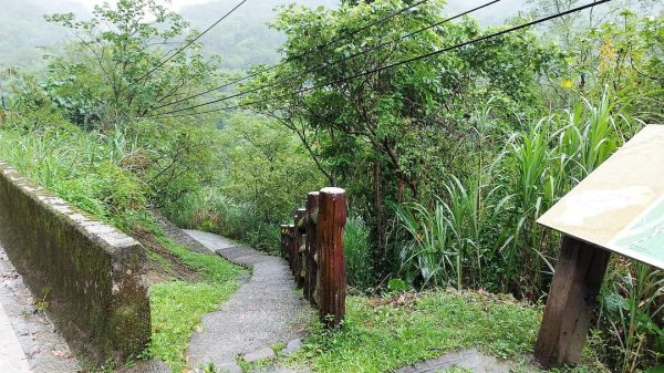 平溪  望古瀑布步道  猴硐貓村 運煤遺址。搭火車去旅行  最小的火車站 被人們忽略的秘境 望古瀑布2186061