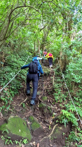 2022-4 觀音山之北橫古道上硬漢嶺1686595