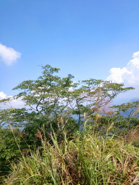 頭嵙小祕境石苓湖山440355