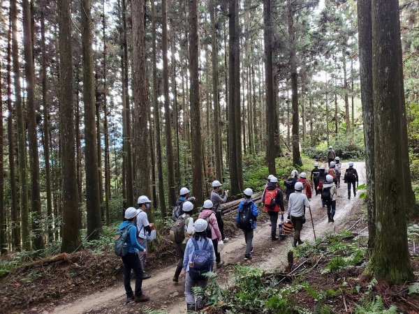 【活動】跟著達人走讀林場循環 體驗永續森林生命力