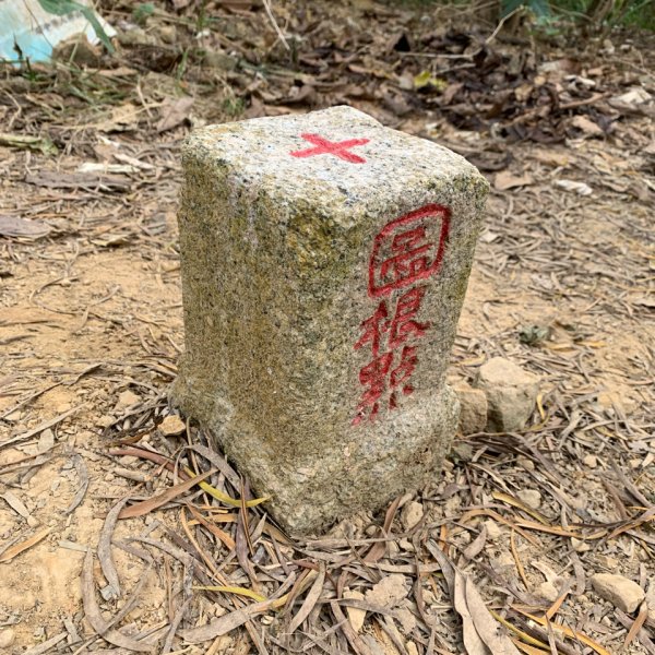 20260117台南阿拉溪斜瀑群縱走糖子恩山-水山頂山2985077